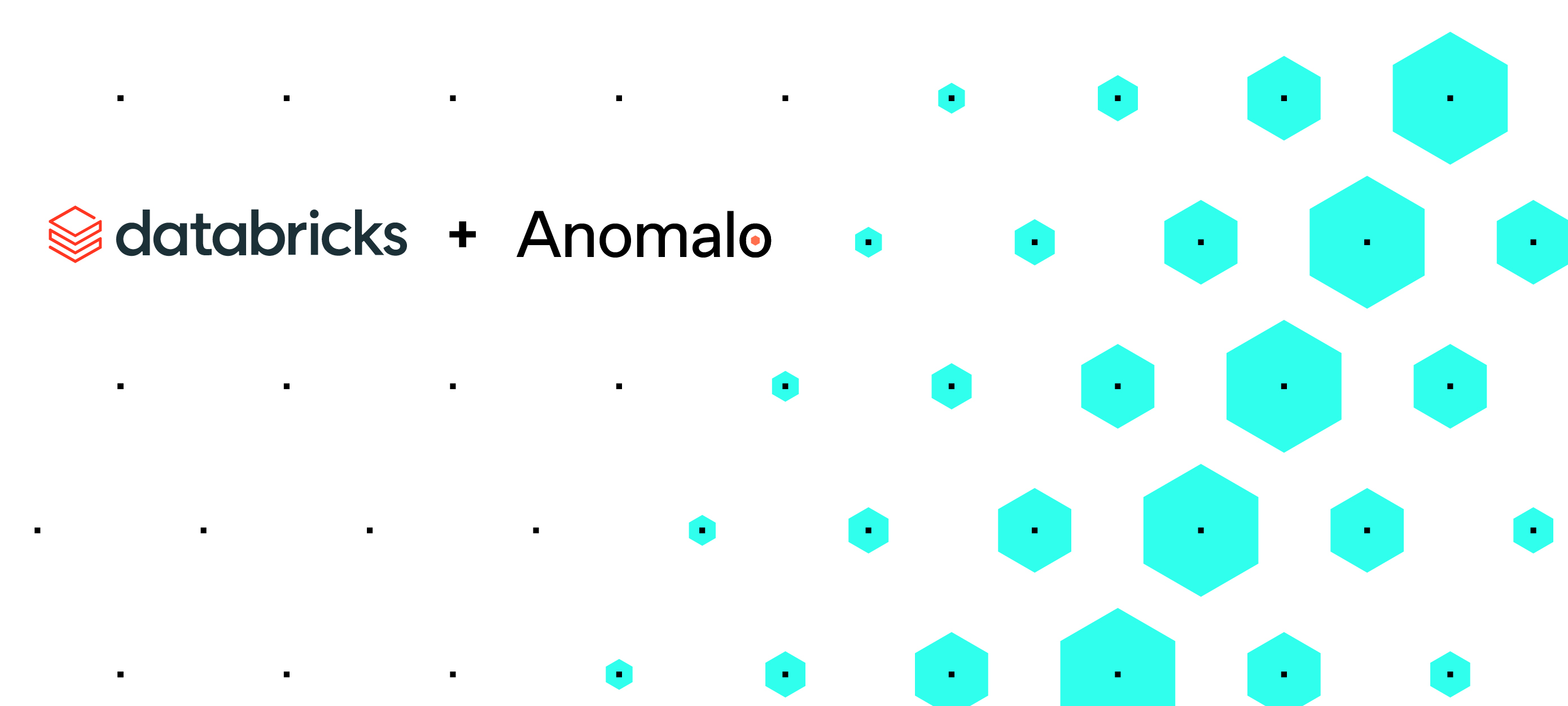 Meet anomalo databricks conference 2022